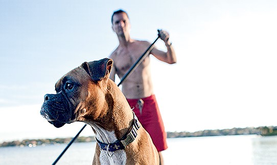 PUPS on SUPS with The Paddle Shack