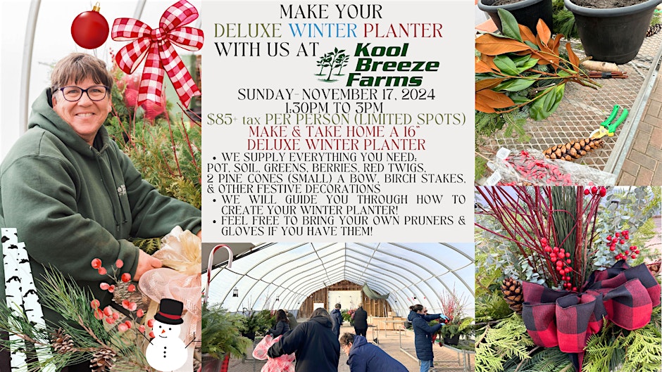 DIY Deluxe Winter Planter Workshop