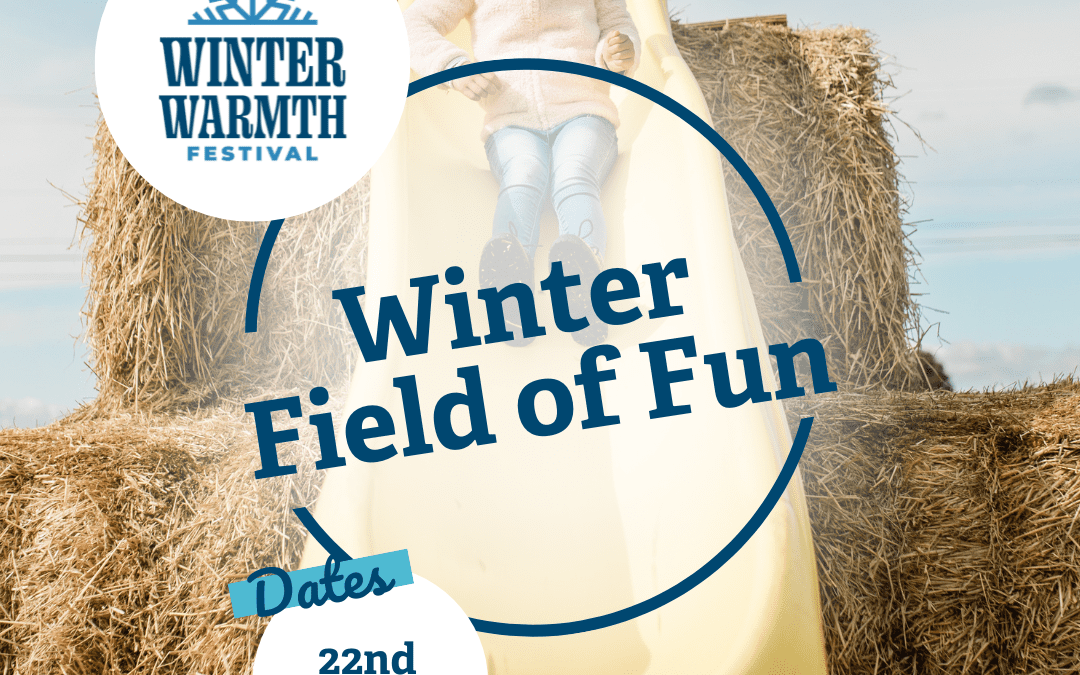 Winter Field of Fun