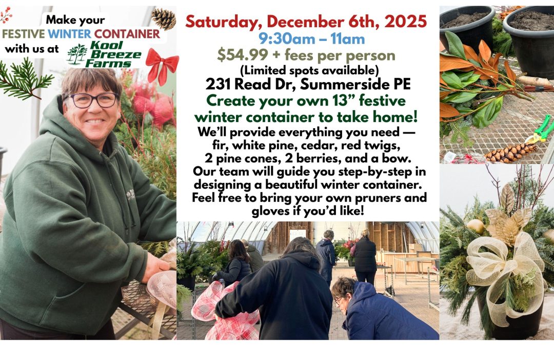Festive Winter Container Workshop @ Kool Breeze Farms