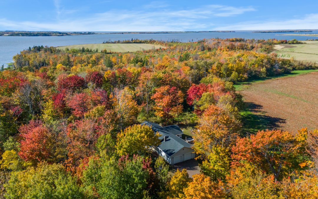 The Coastal Cowgirl Retreat