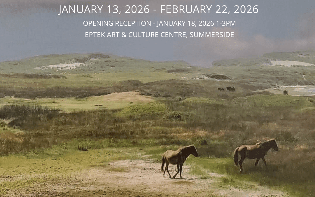 Through the Lens – Photography Exhibition