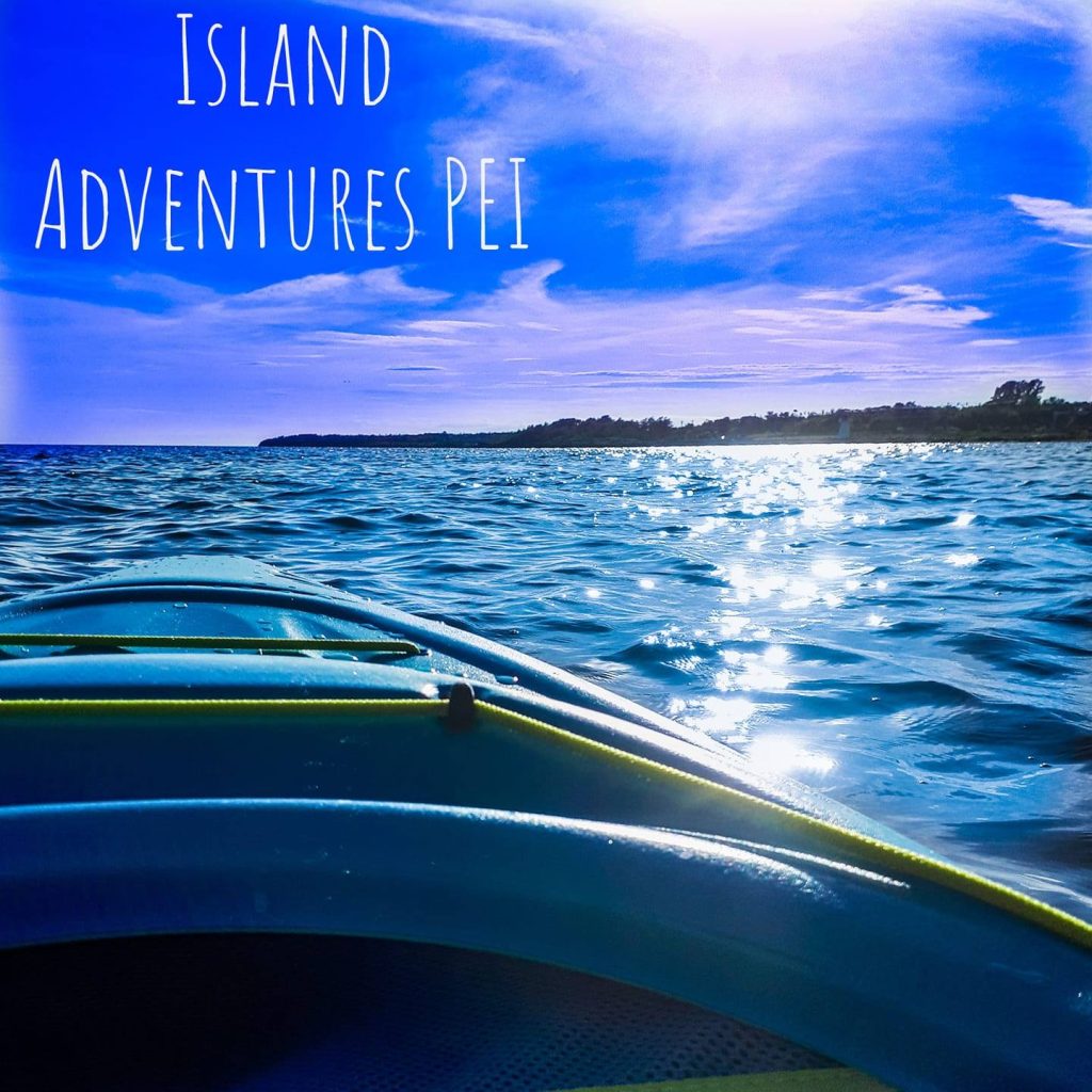 island kayak-river4