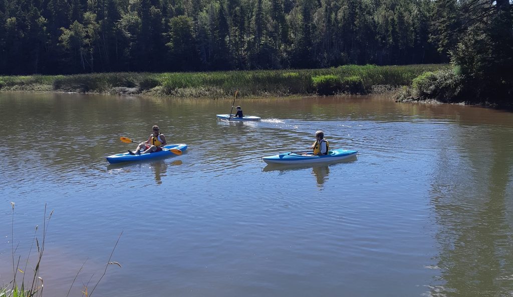 island kayak-river5