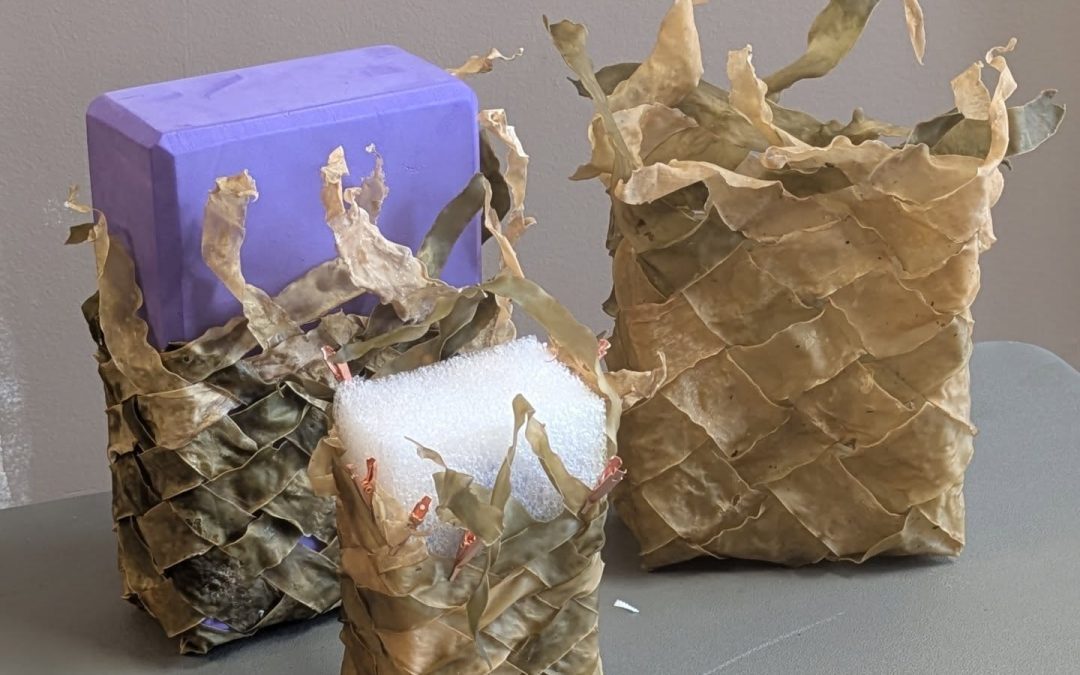 Artist Residency & Talk: Jane Whitten