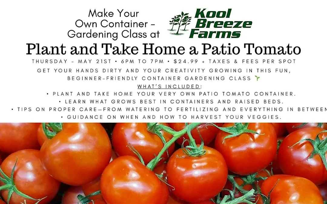 Patio Tomato Container Class at Kool Breeze Farms