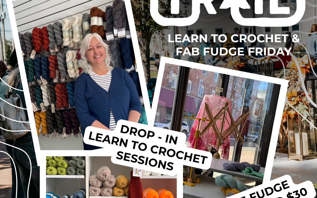 Drop-In Learn to Crochet & Fab Fudge Friday at Red Island Knits