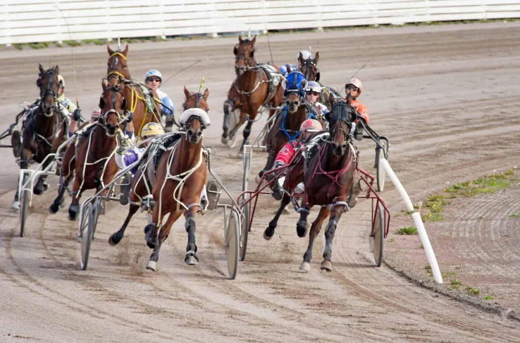 Live Harness Racing at Red Shores Summerside